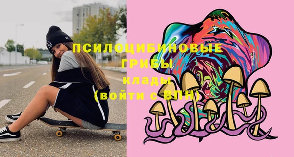 прущая мука Алзамай