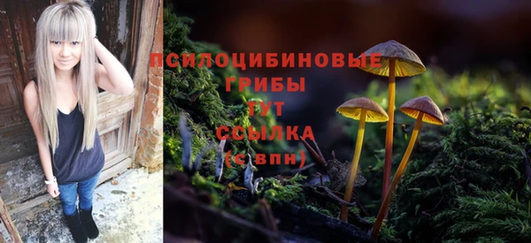прущая мука Алзамай