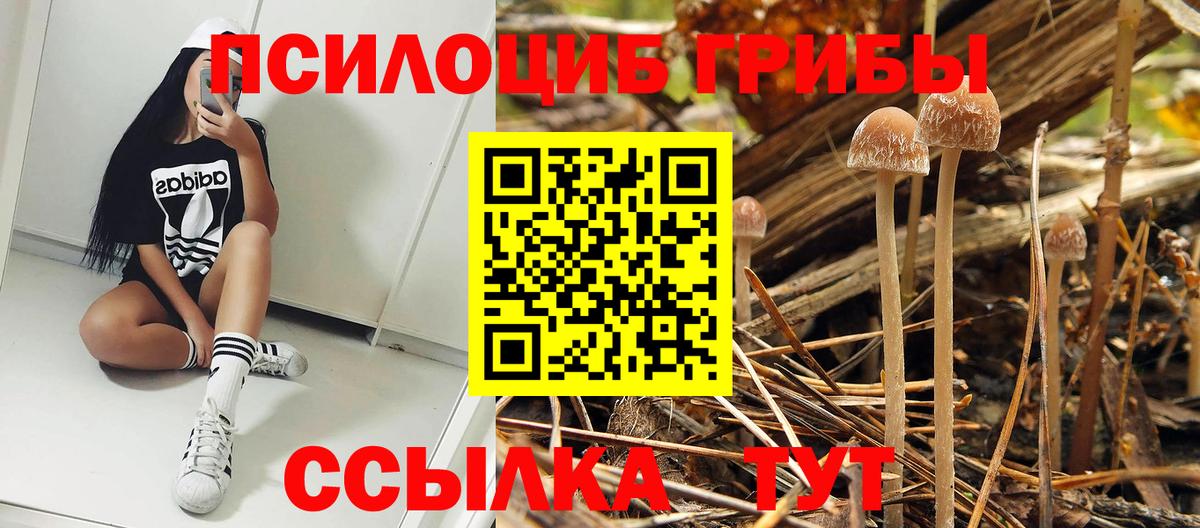 купить закладку  Галлюциногенные грибы GOLDEN TEACHER  Вход с VPN  Дзержинский 
